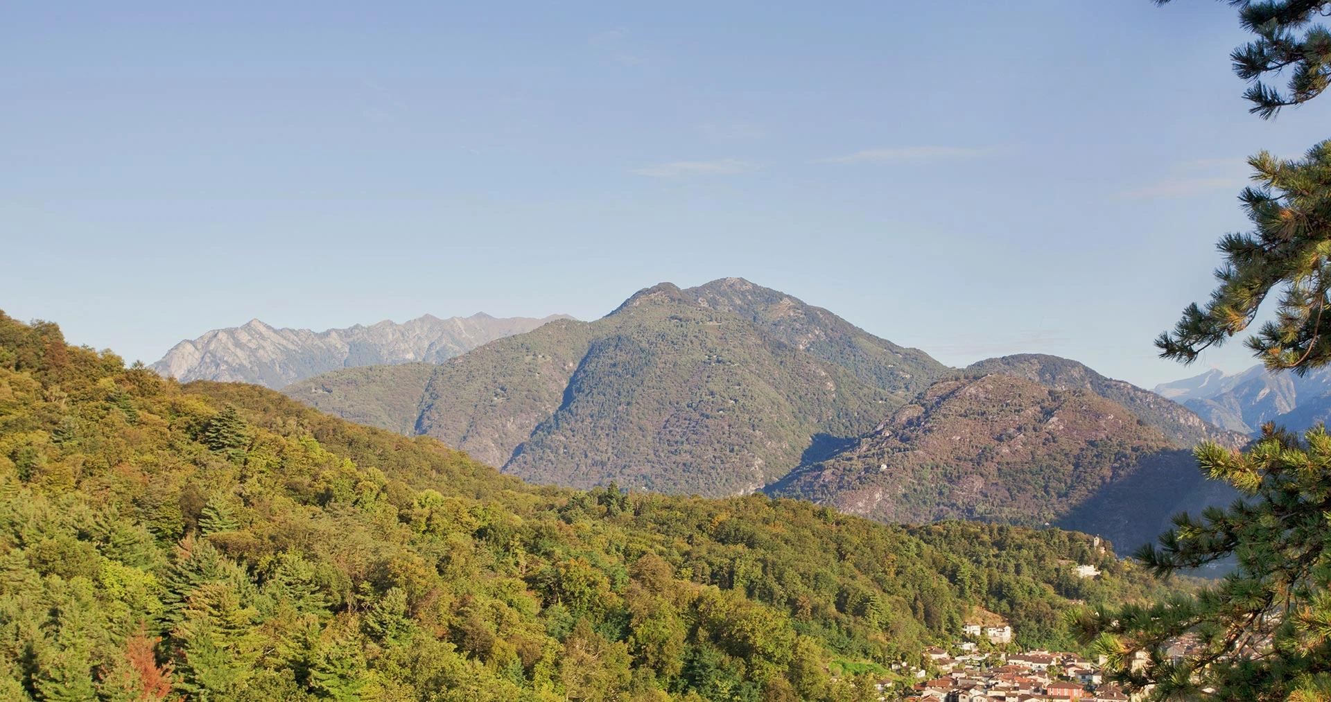 ASCONOSC(I)ENZA – Glottofilia, conferenza di Cesco Reale