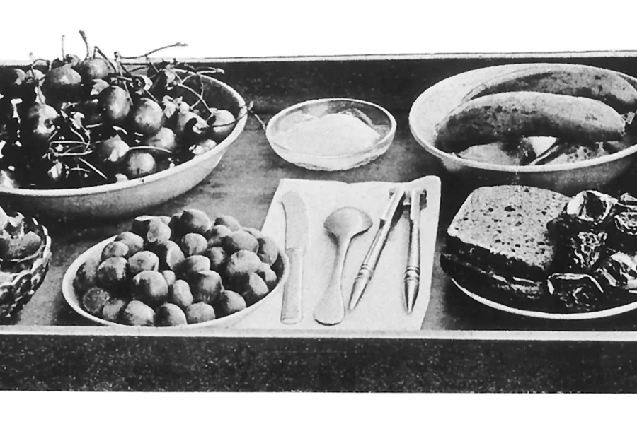 Piatti vegetariani, 1904